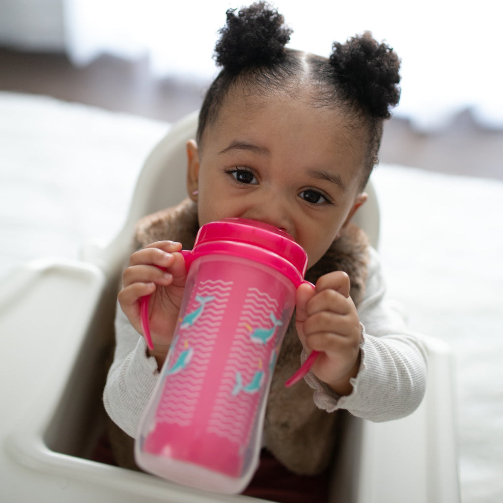 Dr. Brown's Milestones Insulated Sippy Straw Cup with Handles, Pink/Green, 10 oz, 12m+, 2 Pack