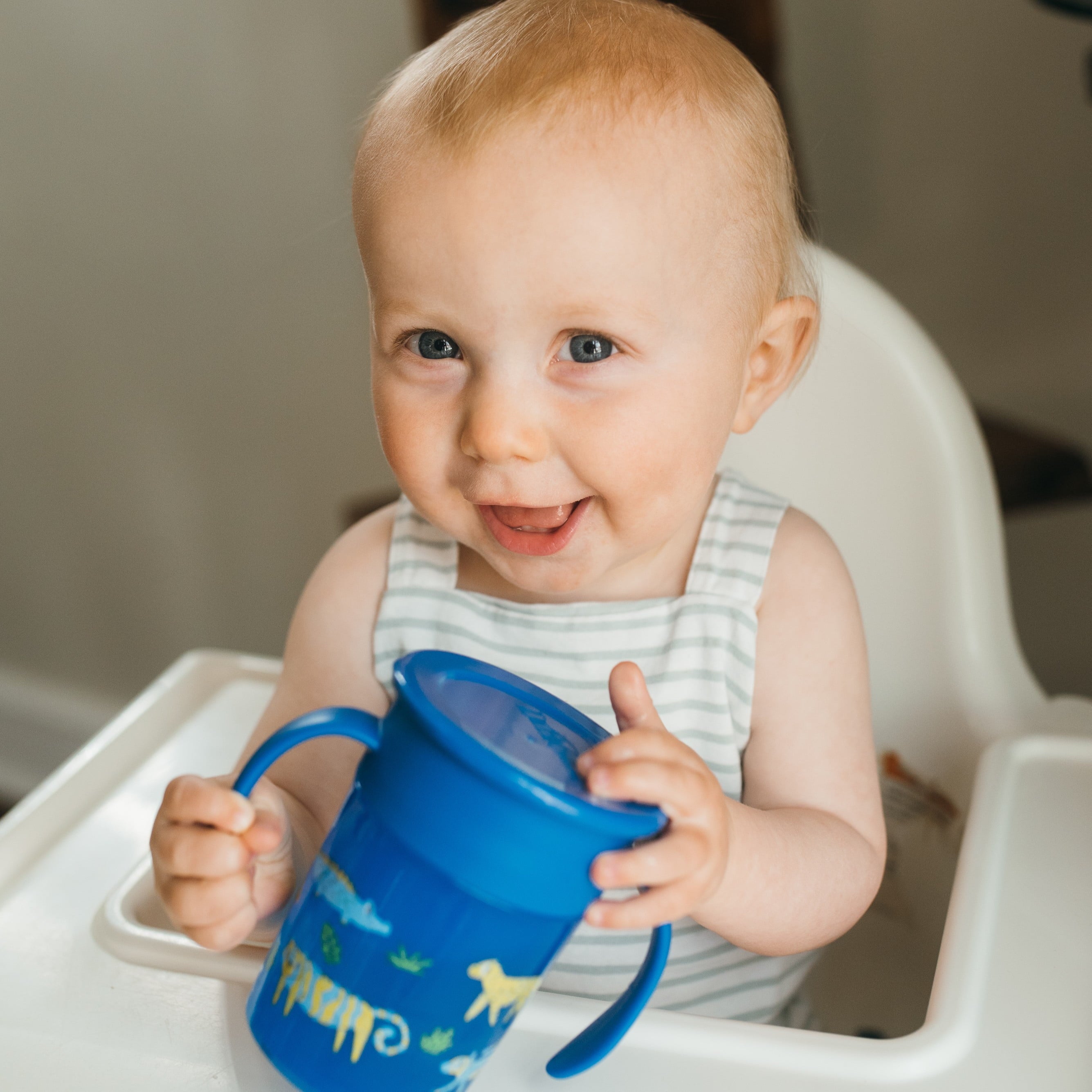 Dr. Brown's Milestones Cheers 360 Cup Spoutless Transition Cup with Handles for Easy Grip and Leak-Free Learning, Blue Safari, 7 oz/200 mL, 6m+