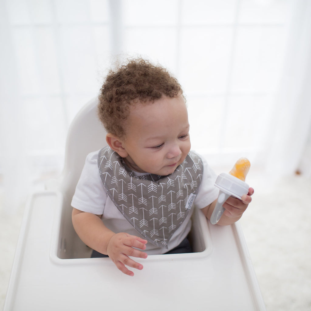 Dr. Brown's Designed to Nourish, Fresh Firsts Silicone Feeder, Solid Food Feeding, Pink/Gray, 2 Pack
