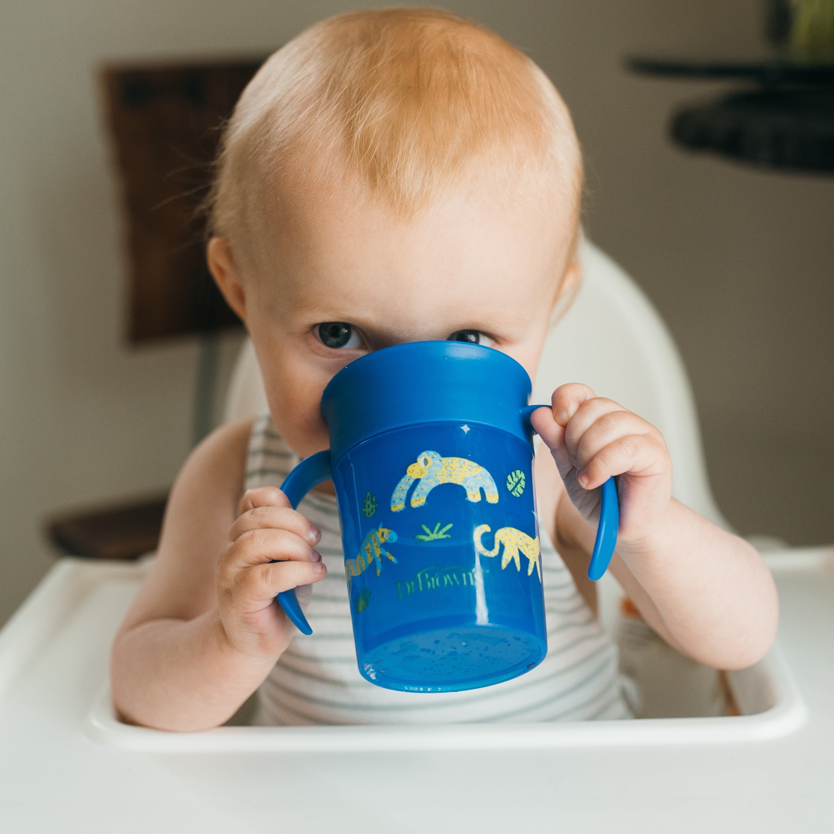 Dr. Brown's Milestones Cheers 360 Cup Spoutless Transition Cup with Handles for Easy Grip and Leak-Free Learning, Blue Safari, 7 oz/200 mL, 6m+