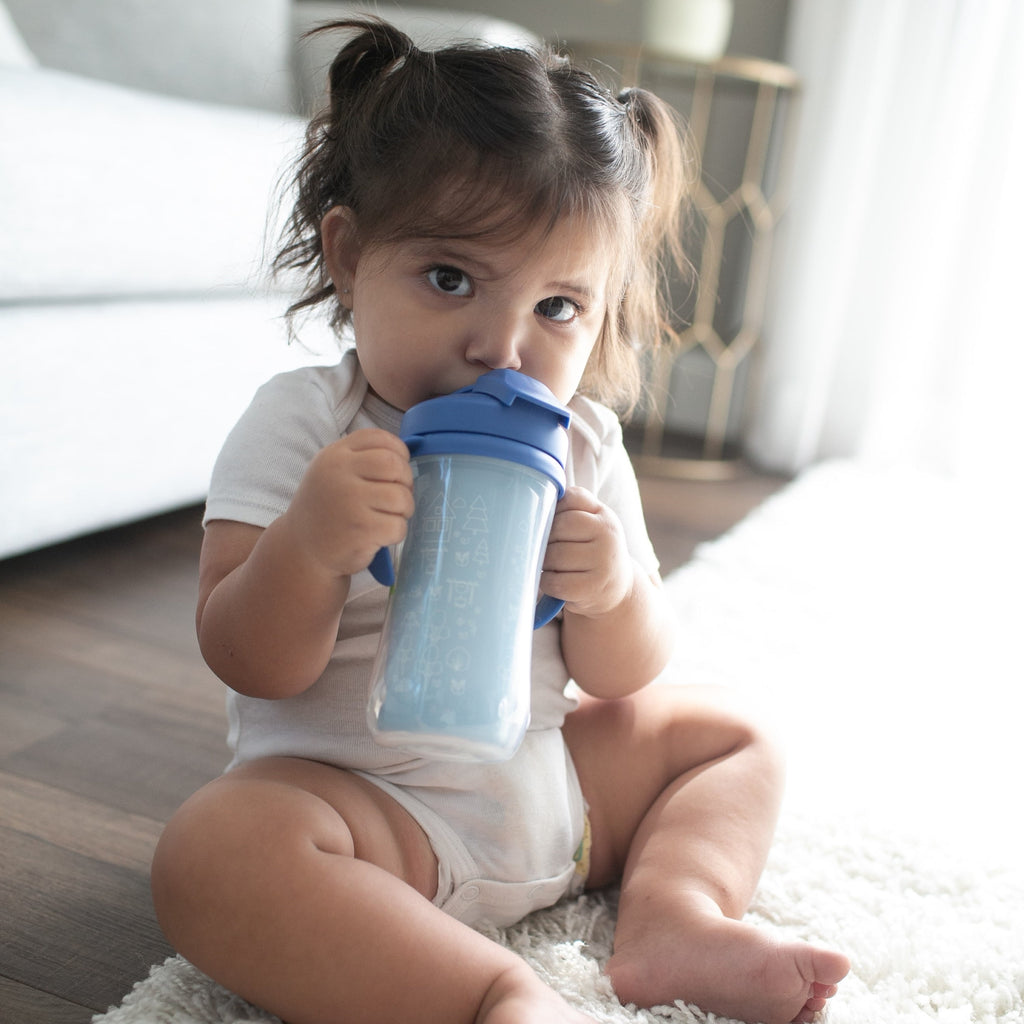 Dr. Brown's Milestones Insulated Sippy Cup with Straw &Handles, Green/Blue, 10oz/300ml, 12m+, 2 Pack