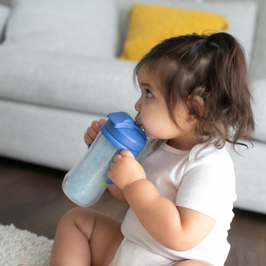 Dr. Brown's Milestones Insulated Sippy Cup with Straw &Handles, Green/Blue, 10oz/300ml, 12m+, 2 Pack