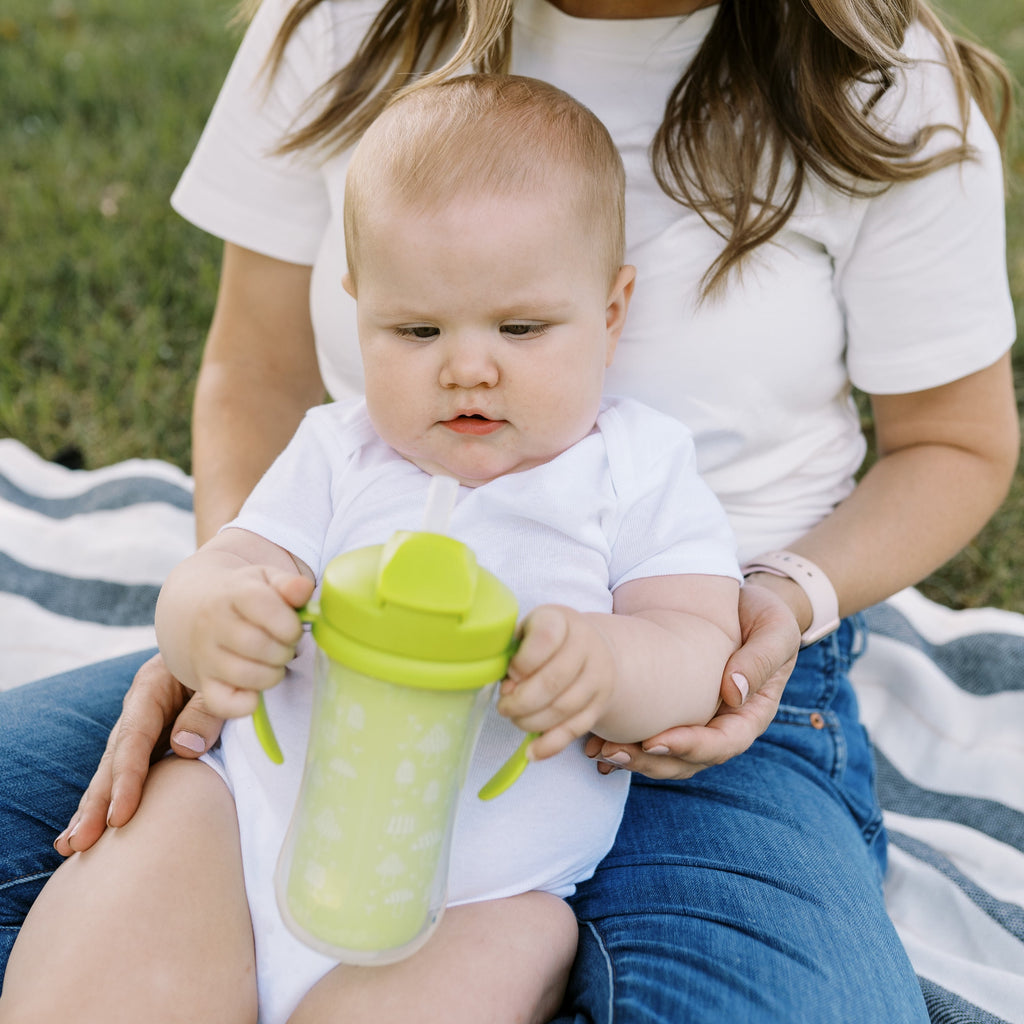 Dr. Brown's Milestones Insulated Sippy Cup with Straw &Handles, Green/Blue, 10oz/300ml, 12m+, 2 Pack