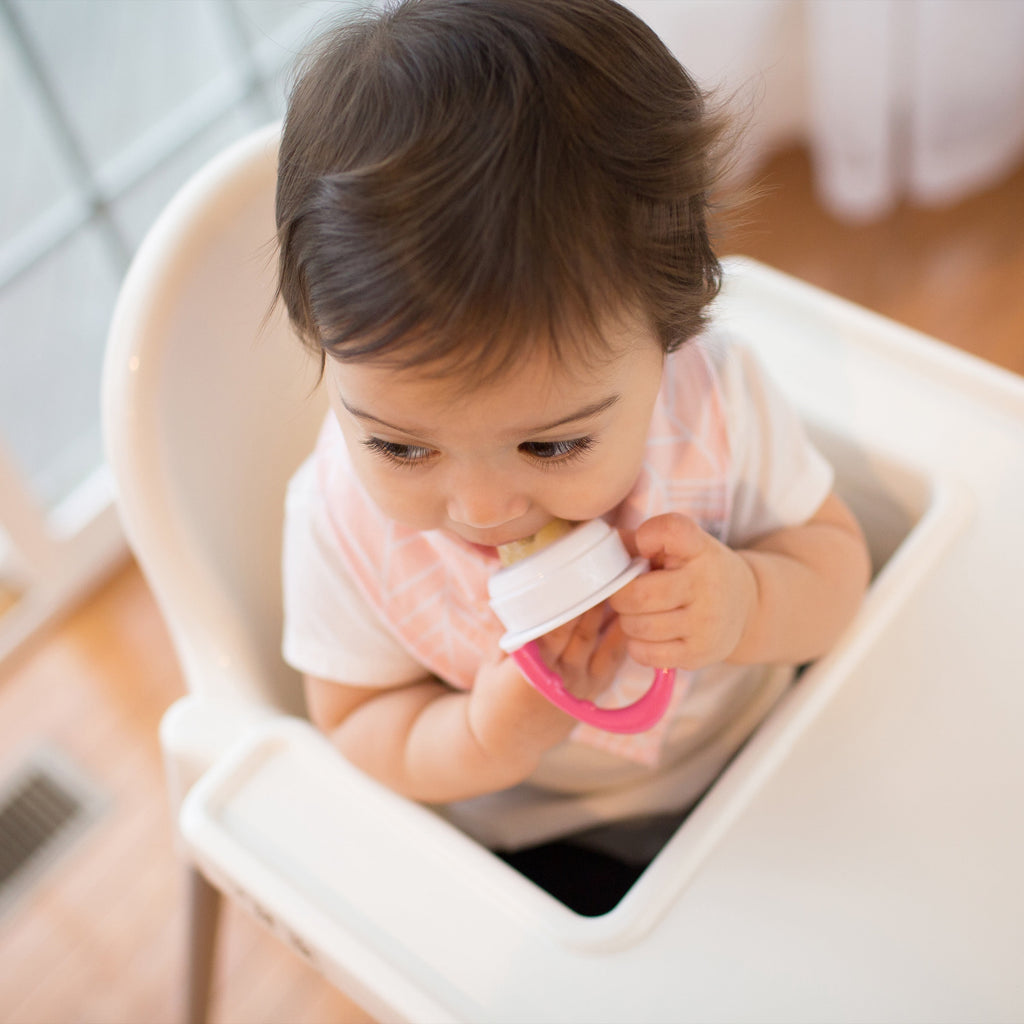 Dr. Brown's Designed to Nourish, Fresh Firsts Silicone Feeder, Solid Food Feeding, Pink/Gray, 2 Pack