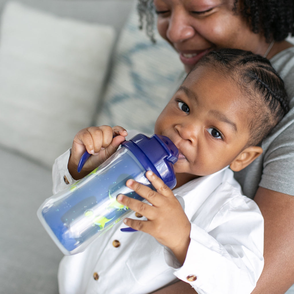 Dr. Brown’s Milestones Insulated Sippy Cup with Straw and Handles - Blue - 10oz - 2pk - 12m+