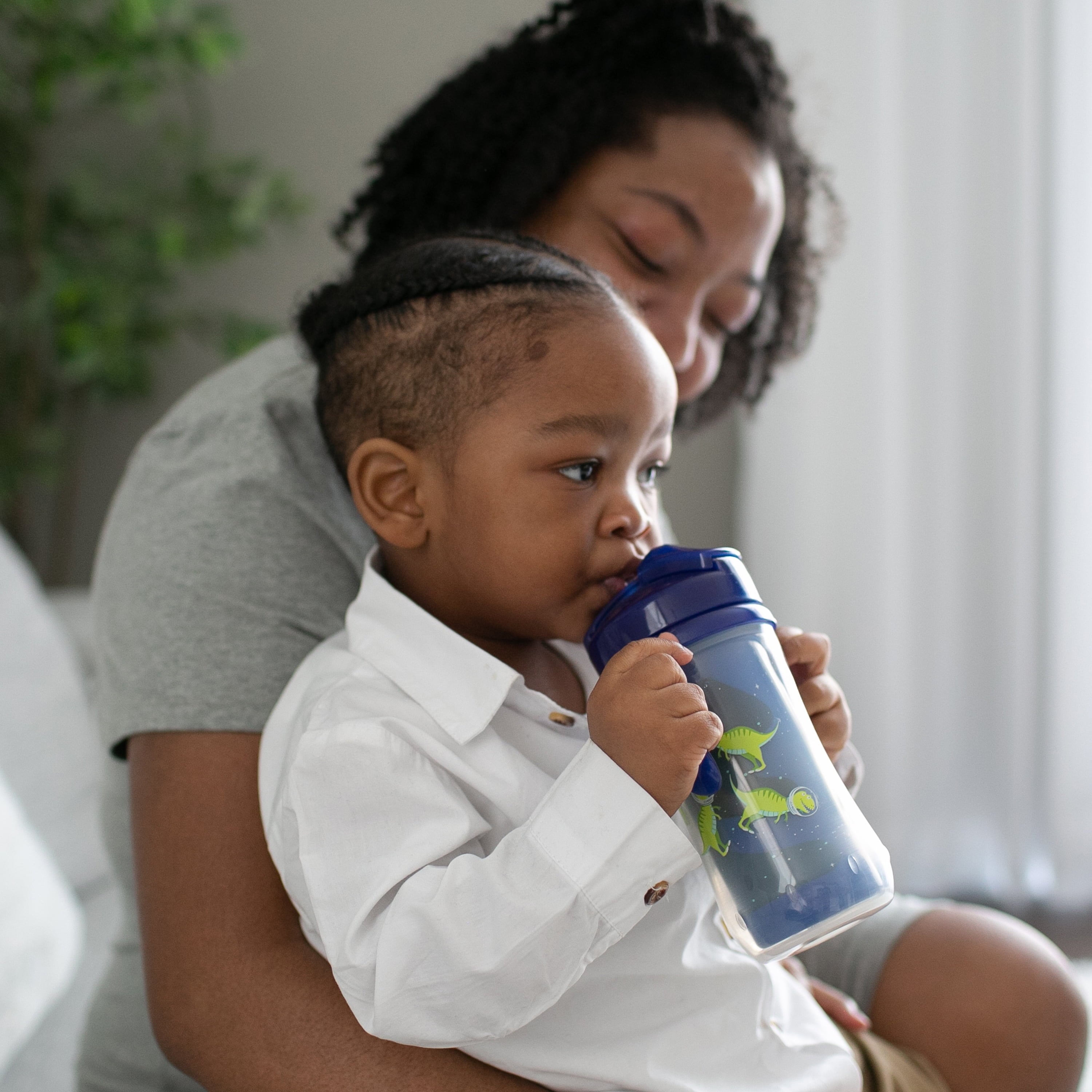 Dr. Brown’s Milestones Insulated Sippy Cup with Straw and Handles - Blue - 10oz - 2pk - 12m+