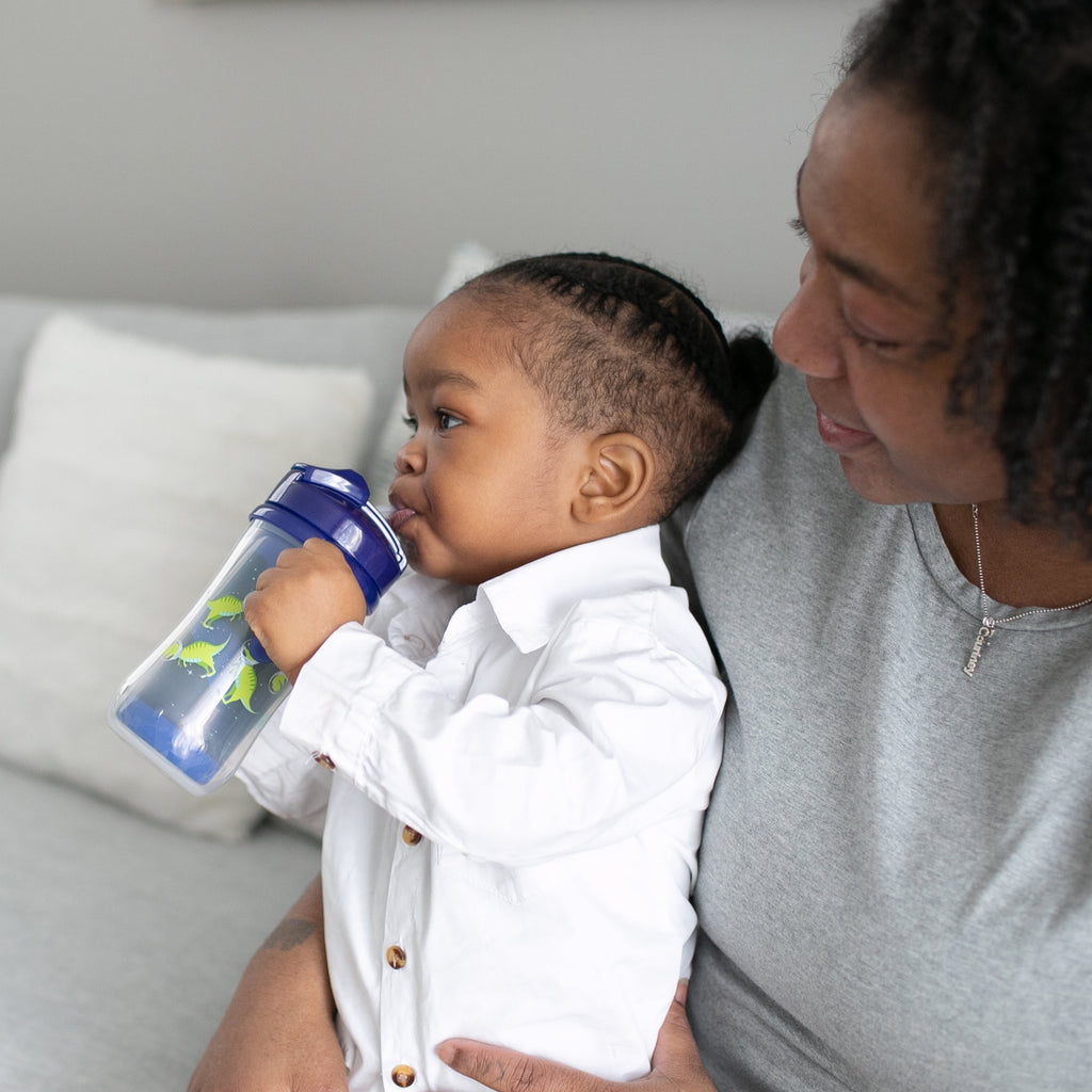 Dr. Brown’s Milestones Insulated Sippy Cup with Straw and Handles - Blue - 10oz - 2pk - 12m+