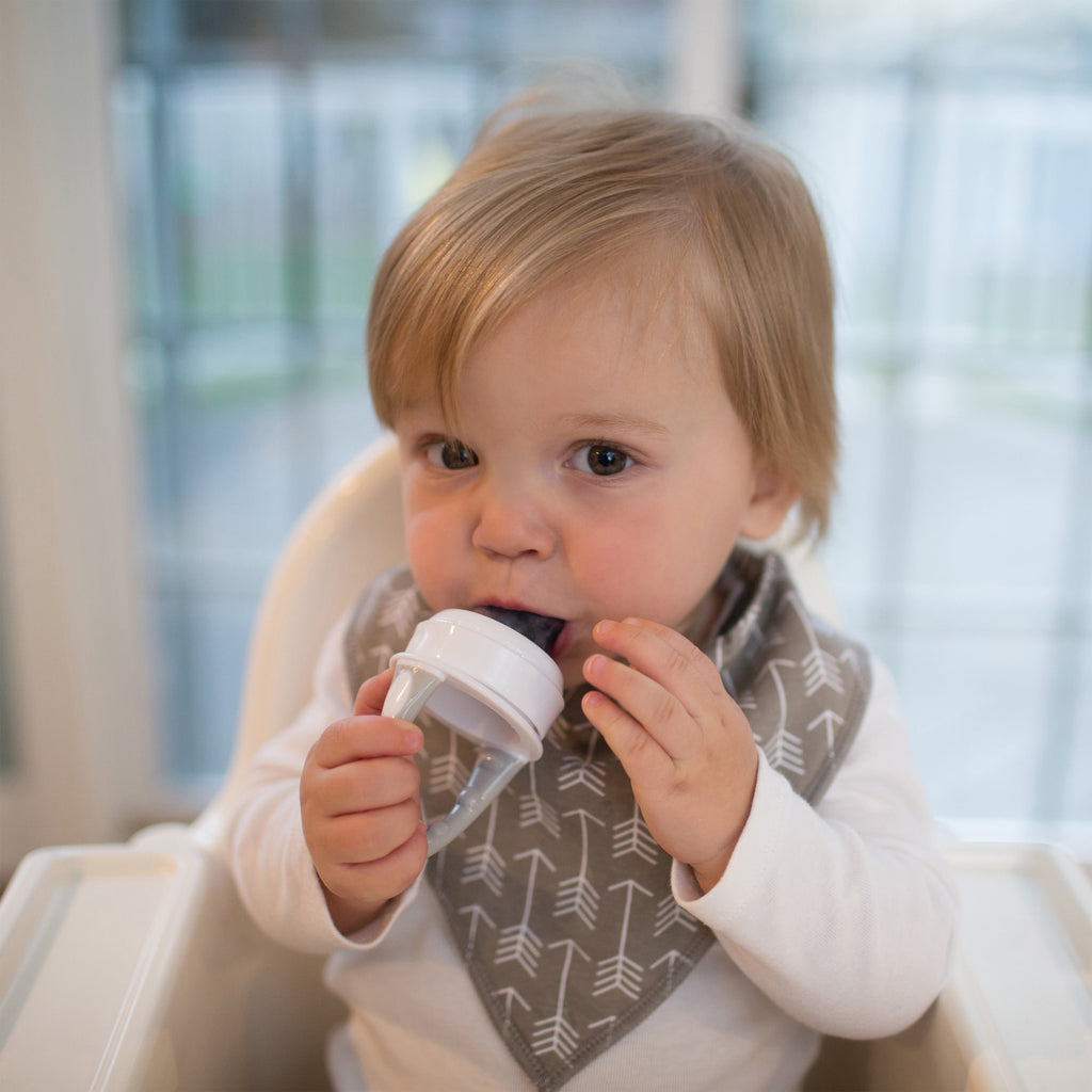 Dr. Brown's Designed to Nourish, Fresh Firsts Silicone Feeder for Soft Foods, Gray, BPA Free, 1 Pack